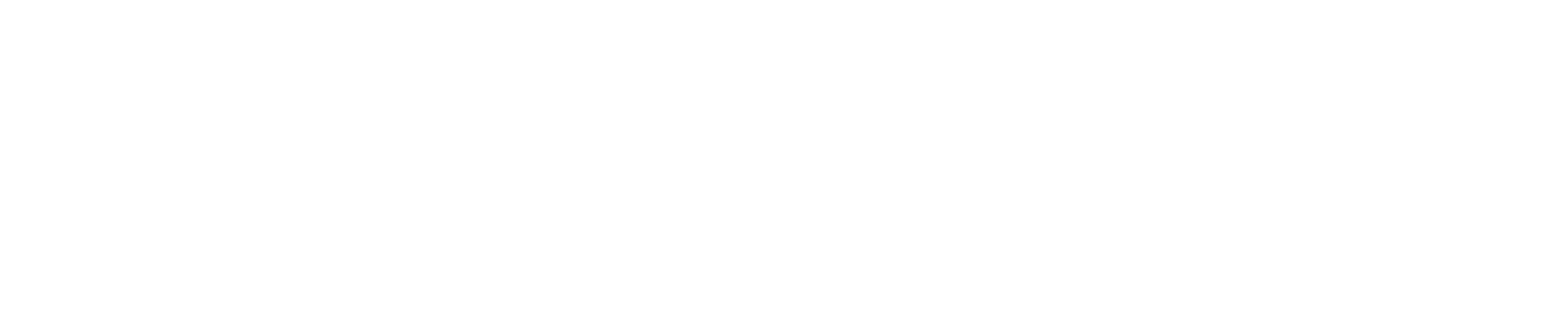Smarticks